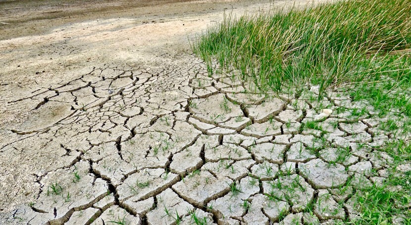 desertification and land degradation