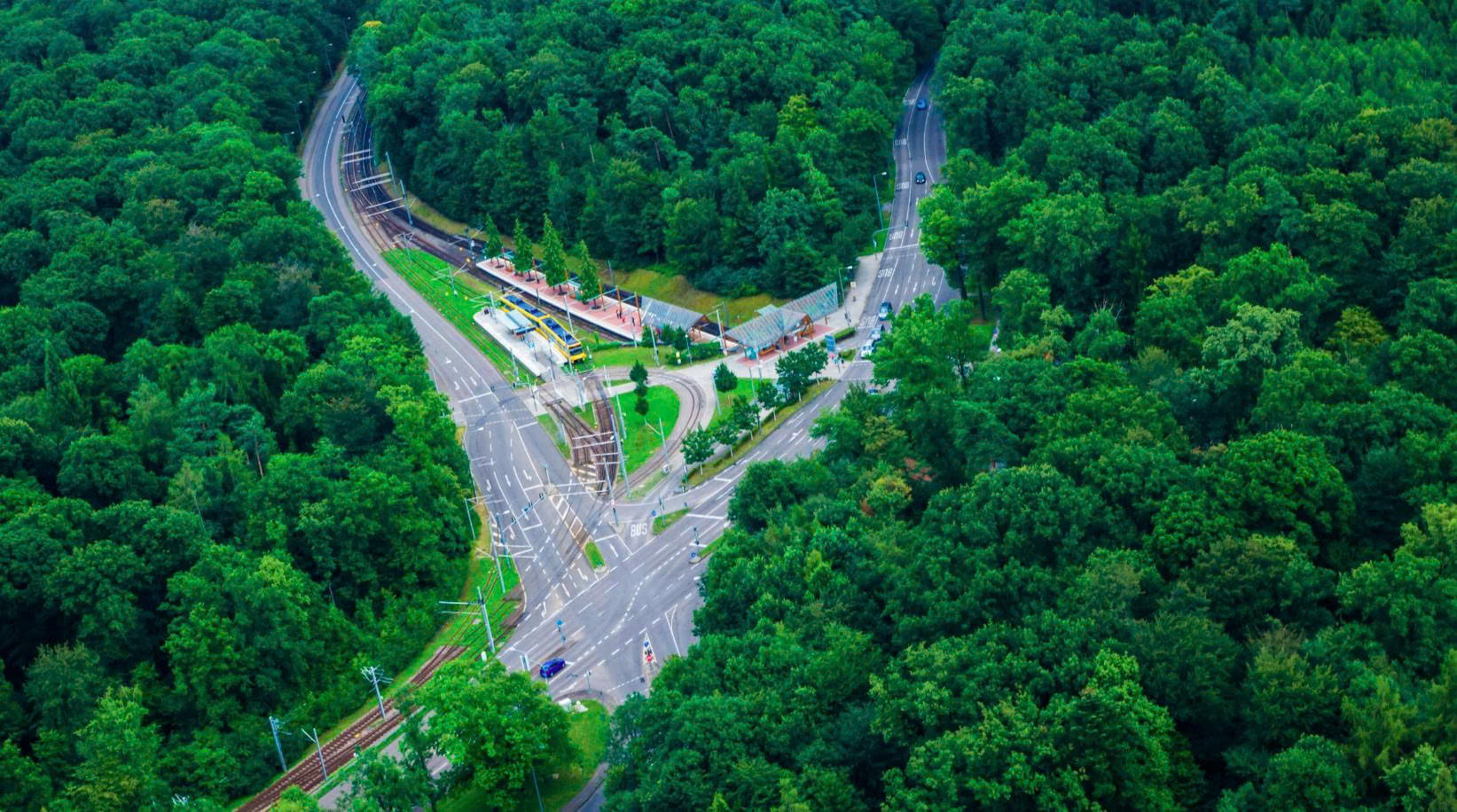 vegetation management protects infrastructure