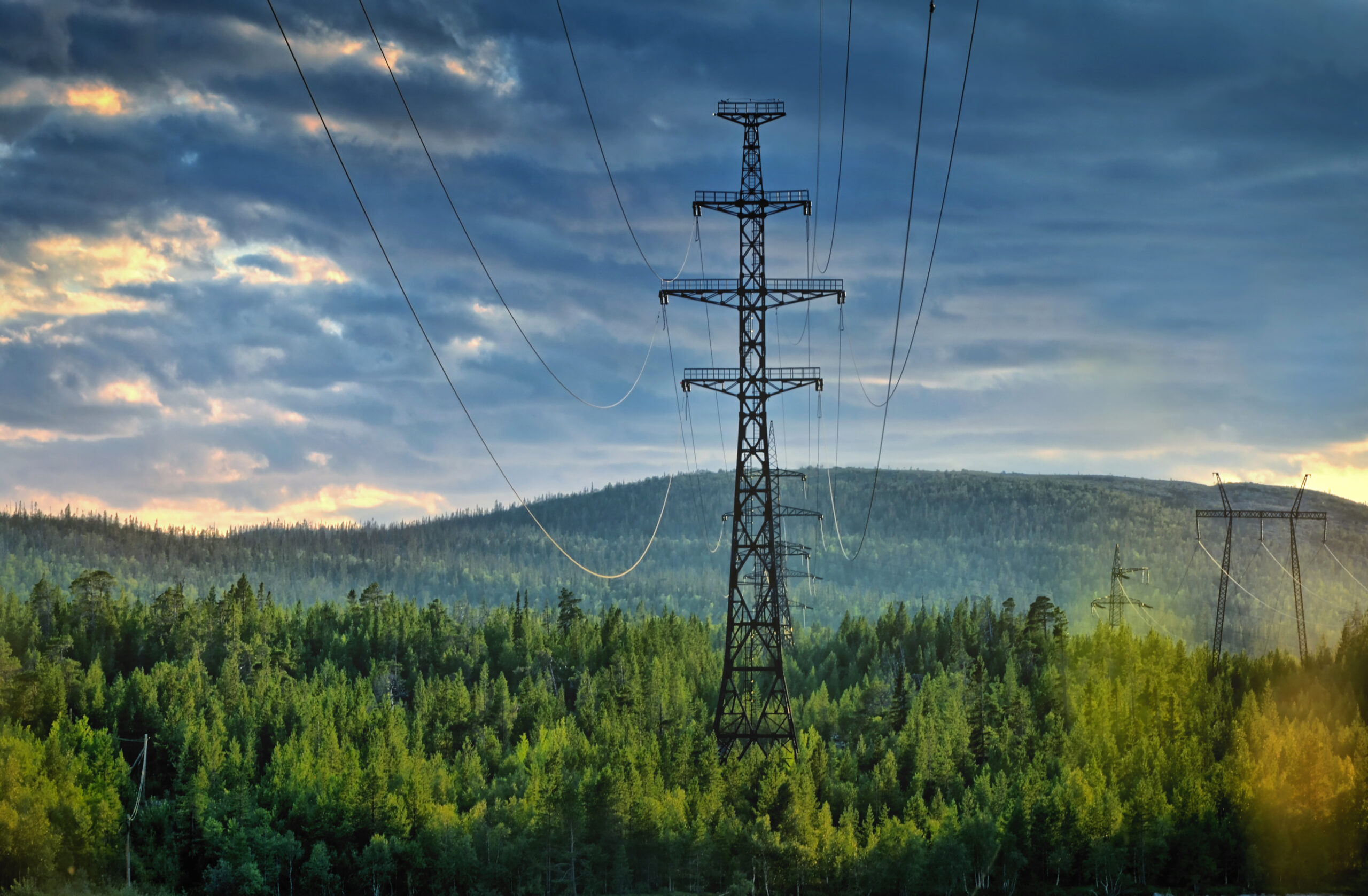 Electricity pylons cutting through forest
